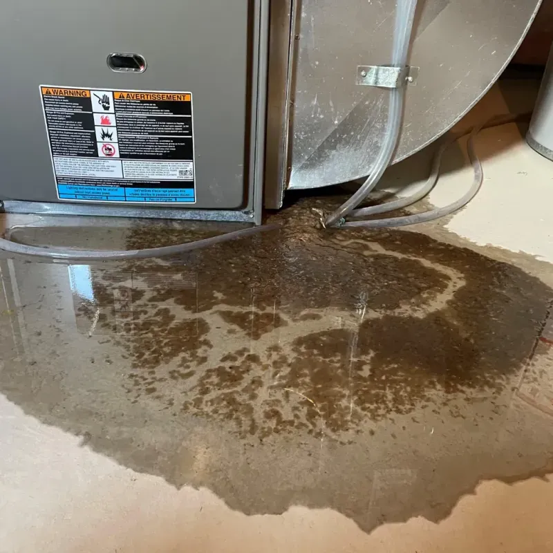 Appliance Leak Cleanup in Olga, FL